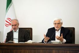 عارف: دولت در دام حواشی نیفتاده است
