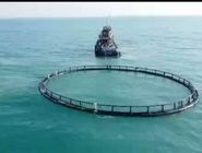 حفظ ذخایر ژنتیکی دریاها اولویت ملی است