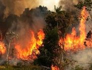 شفاف سازی استاندار از حجم واقعی آتش‌سوزی الیت