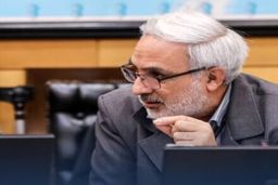 نماینده مجلس: انتقاد به روش دهک‌بندی خانوارها وارد است