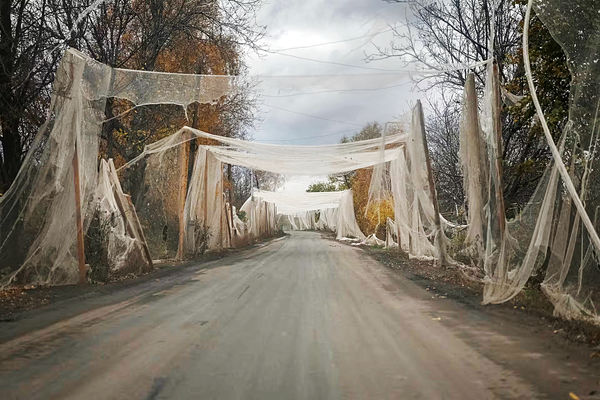 دوره دوره نامردی است/درباره عکسی از تورهای ضد پهپادی در جنگ روسیه و اوکراین