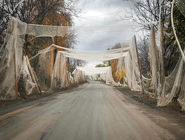 دوره دوره نامردی است/درباره عکسی از تورهای ضد پهپادی در جنگ روسیه و اوکراین