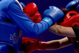 یک طلا و دو نقره سهم ووشوکاران ایران از روز پایانی