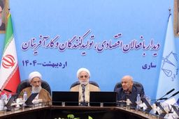 محسنی اژه‌ای: ابزار تولید را توقیف نکنید