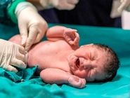 تذکر به رئیس‌جمهور درباره مانع‌تراشی برخی استانداری‌‌ها از صدور شناسنامه برای فرزندان دارای مادر ایرانی