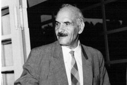 سالمرگ پژوهشگر ادبیات