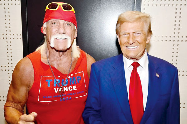 غول ترنس‌مدیا/نگاهی به استراتژی رسانه‏‌ای تبدیل ورزش کشتی‌ کج به بخشی جدایی‏‌ناپذیر از فرهنگ عامه به بهانه درگذشت هالک هولگان