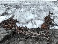 کشف تله ۱۵۰۰ ساله شکار گوزن شمالی در یخ‌های نروژ