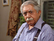 شمایل هنرمندی