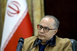 دبیری: وظیفه ای درباره قانون حجاب نداریم