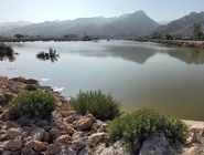 روند مثبت آبگیری سدهای تغذیه مصنوعی هرمزگان