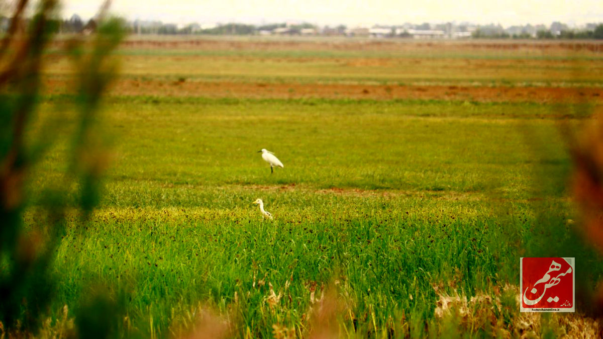 photo_4_2024-05-15_01-08-01