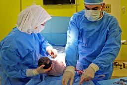 کودک‌مادرها کابوس رزیدنت‌ها/گزارشی درباره شرایط سخت کاری متخصصان و دستیاران زنان و زایمان