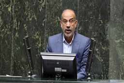 نماینده مجلس: حق مردم نیست که در حوزه معیشتی به زانو در بیایند