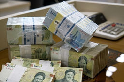 بودجه دولتی بدون نظارت تزریق می‌شود / مدیریت در دام زیان