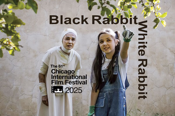 ترافیک ایران در اسکار/با اعلام حضور فیلمی از شهرام مکری در مشهورترین جایزه سینمایی جهان حضور کارگردانان ایرانی در این فستیوال به چهار نفر رسید