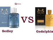 مقایسه عطرمارلی سدلی مردانه با مارلی گودولفین مردانه | کدوم رو بخریم بهتره؟