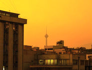 آنقدر صنم دارند که یاسمن درش گم است/ درباره طرح زوج و فرد و آلودگی هوا